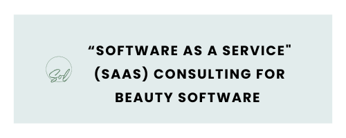 Software as a Service" (SaaS) Consulting for Beauty Software Side Hustle